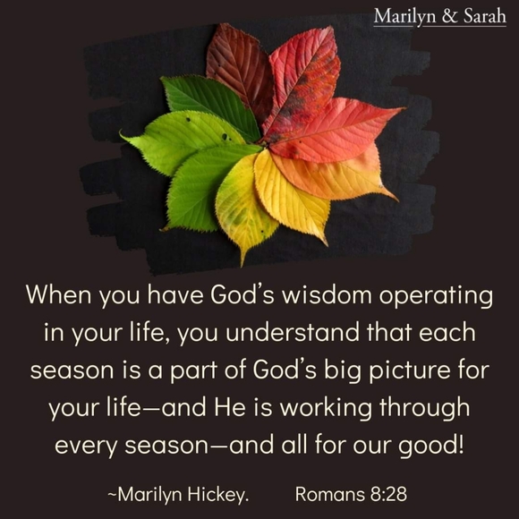 cotton floral pullover dress small - Picture 6 of 6